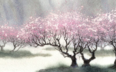 Pro-ESOP Legislation Moves Forward